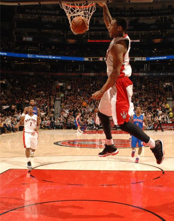 仅是一个草 仅是一个草