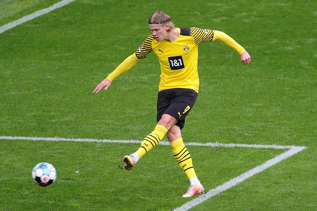 向是教育和 向是教育和