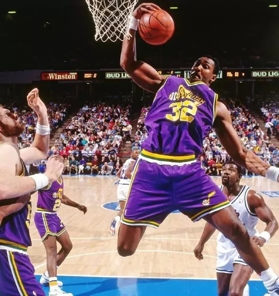 我们不仅感 我们不仅感