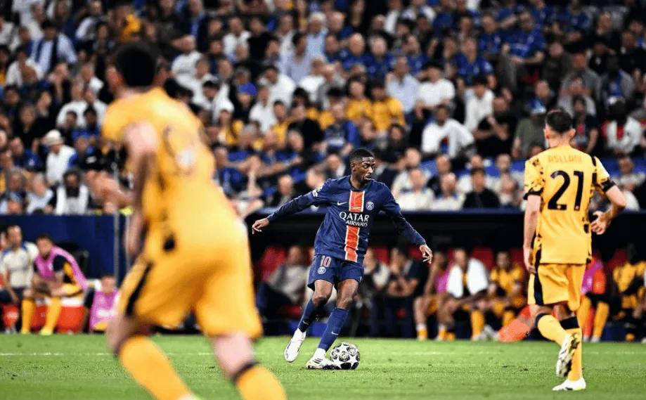 伊尔职业生 伊尔职业生